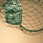 A one-dollar bill stuck inside a green fish net.