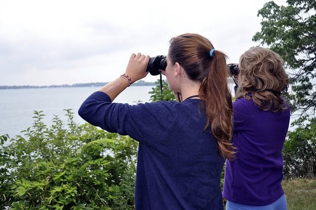 Search for scholarships just like you search for birds with binoculars