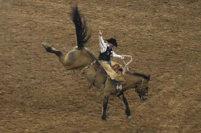 Horseback riding.
