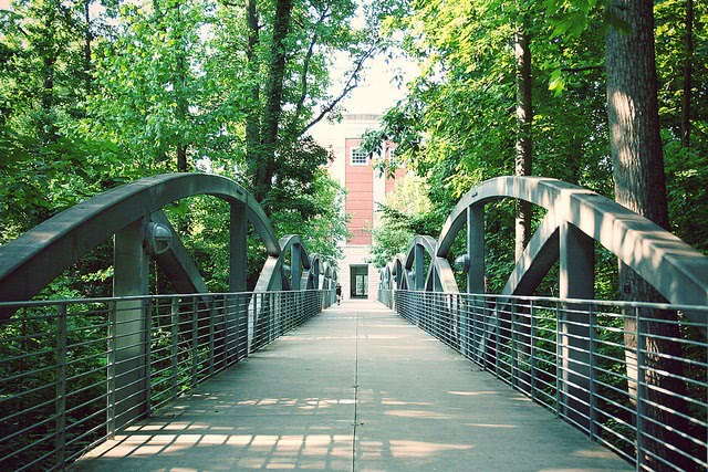 A path towards a bridge.