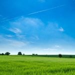 A grassy meadow against a blue sky.