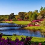 A grassy park with trees and flowers surrounding it, along with a pond in the middle.