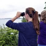 Search for scholarships just like you search for birds with binoculars