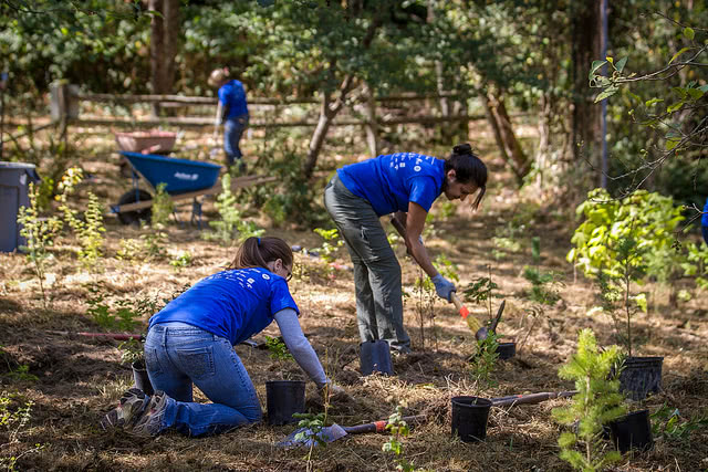 What are some summer activities for college applications?