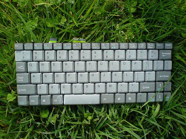 Write amazing college admission essays over the summer