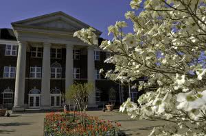 White flowers in front of a University of Central Arkansas campus building.