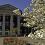 White flowers in front of a University of Central Arkansas campus building.