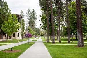 Whitworth University campus tree-lined sidewalk and building.