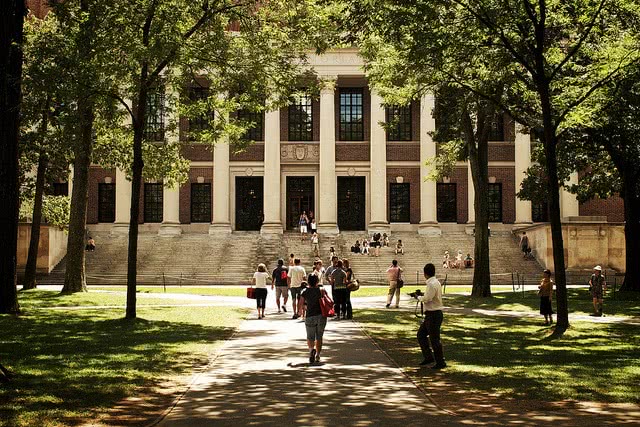 Students walking around Harvard Yard.