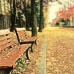 Two benches with autumn leaves covering the ground.