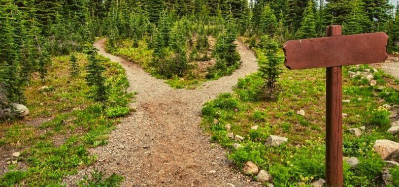 A stone path forking in the woods with a wooden sign on the right.