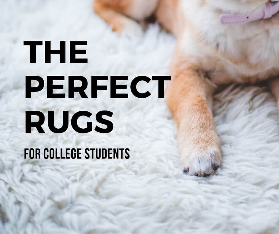 7 Rugs Perfect To Brighten Up Your Room For College Dorms