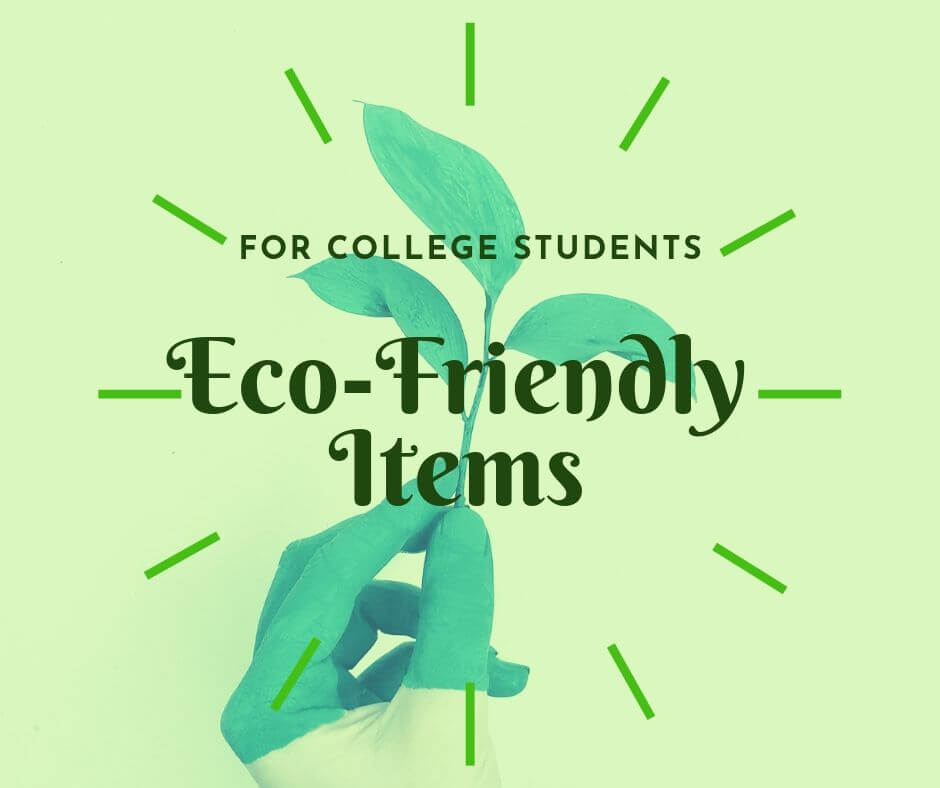 eco friendly