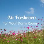 Field of pink flowers and blue sky with overlay text that says "Air Fresheners for your dorm room."