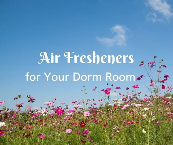 Air Fresheners That Make Your Dorm Room Smell GreatCollege Raptor