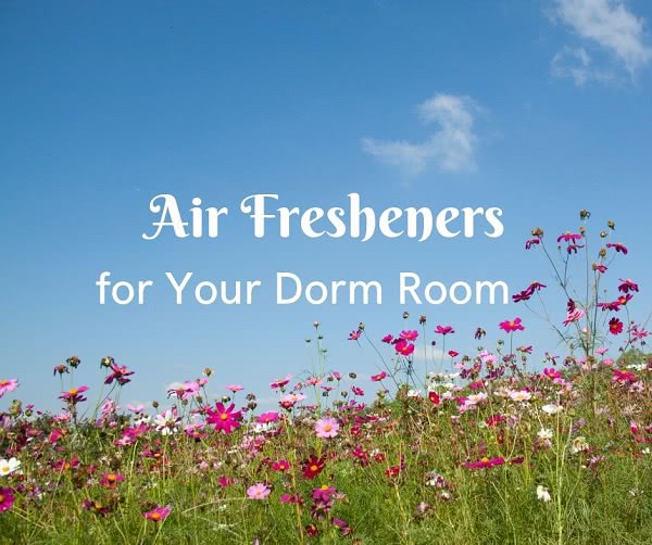 Field of pink flowers and blue sky with overlay text that says 