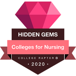 Nursing Hidden Gems Badge Hidden gems - best colleges for nursing
