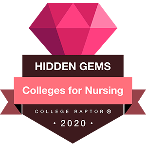 Hidden gems - best colleges for nursing