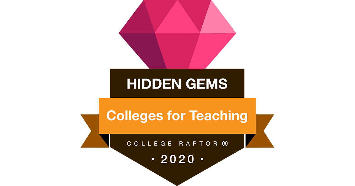 Hidden Gem Colleges with Teaching Programs College Raptor