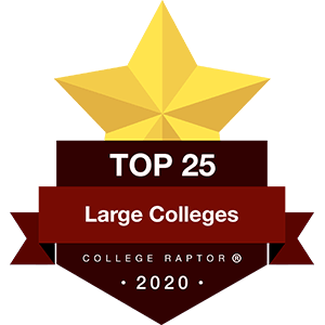 Best Large Colleges Badges