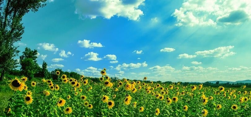 Summer classes at a college.