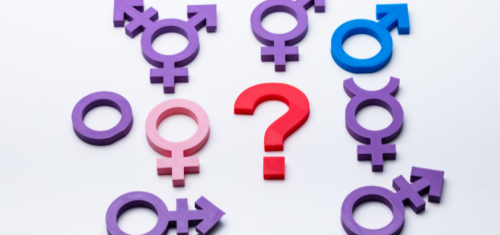 What Is A Gender Studies Degree? | College Raptor