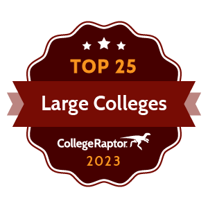 Top Large Colleges 2023 badge.