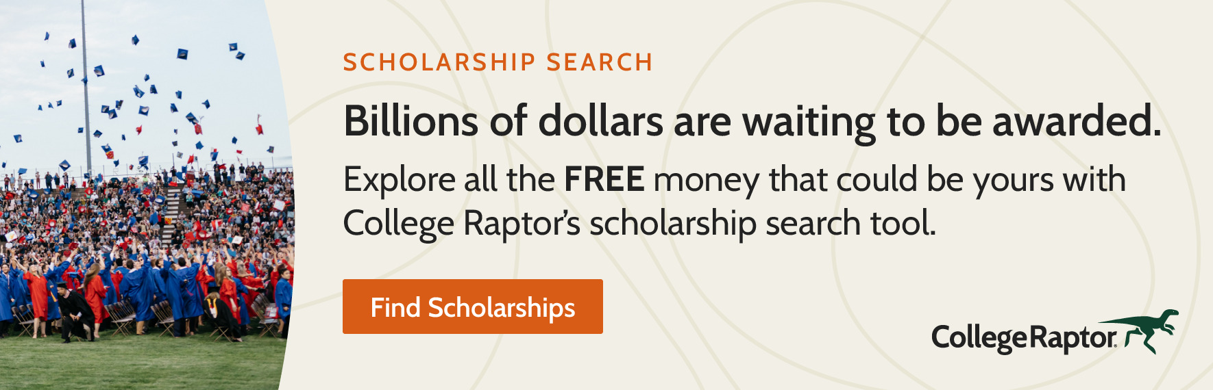 college raptor scholarship essay