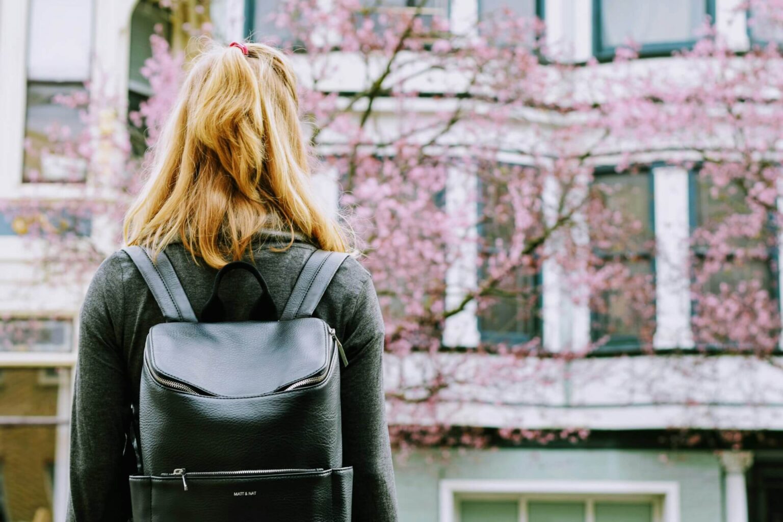 how-many-weeks-are-in-a-college-semester-college-raptor
